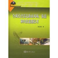 合成孔徑雷達(dá)海面風(fēng)場海浪和內(nèi)波遙感技術(shù)