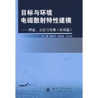 目標與環境電磁散射特性建模：理論、方法與實現（應用篇）
