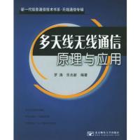 多天線無線通信原理與應用（無線通信專輯）/新一代信息通信技術書系