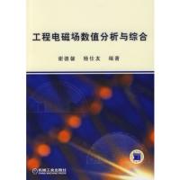 工程電磁場(chǎng)數(shù)值分析與綜合