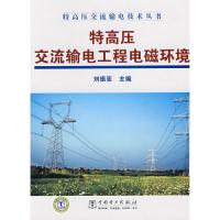 特高壓交流輸電技術(shù)叢書 特高壓交流輸電工程電磁環(huán)境