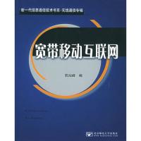 寬帶移動互聯(lián)網(wǎng)——新一代信息通信技術(shù)書系·無線通信專輯