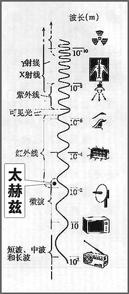 點(diǎn)擊進(jìn)入下一頁