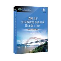2013年全國微波毫米波會議論文集(上、下冊)
