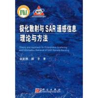 極化散射與SAR遙感信息理論與方法