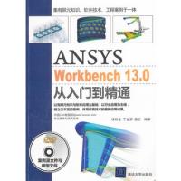 ANSYS WorkBench 13.0從入門到精通(配光盤)