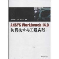 ANSYS Workbench14.0仿真技術與工程實踐