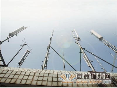 清華大學馮正和：基站輻射影響小于手機