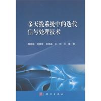 多天線系統(tǒng)中的迭代信號(hào)處理技術(shù)