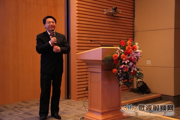 陳志寧教授 IEEE FELLOW